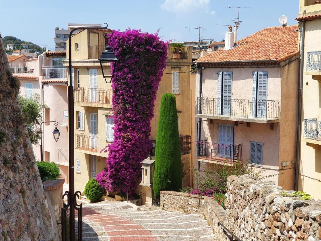 Hyper Centre Cannes - Plages Et Palais 5Min A Pied Exterior photo